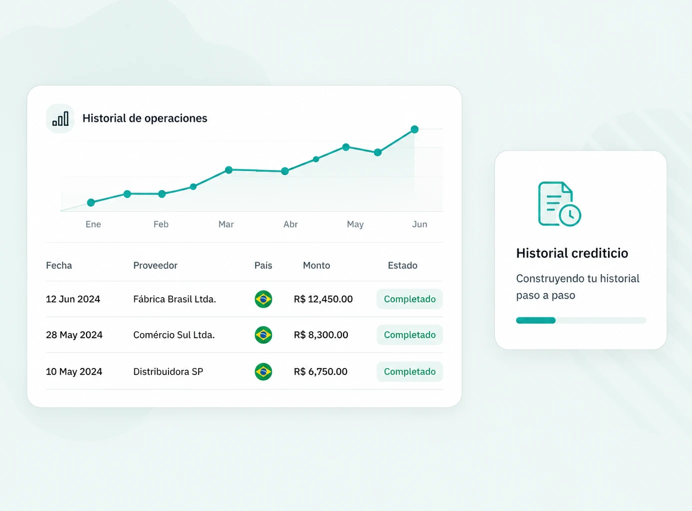 Historial de operaciones con pagos completados a proveedores brasileños y su evolución mensual